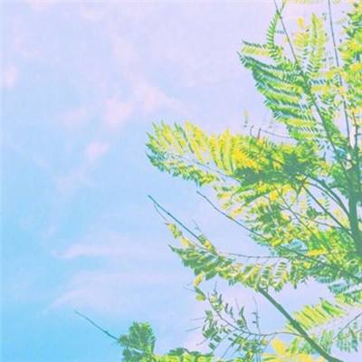 真格斗无双手机游戏下载